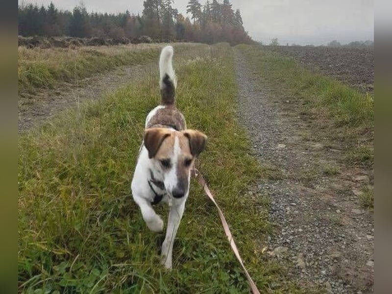 MIRKA liebt streicheln