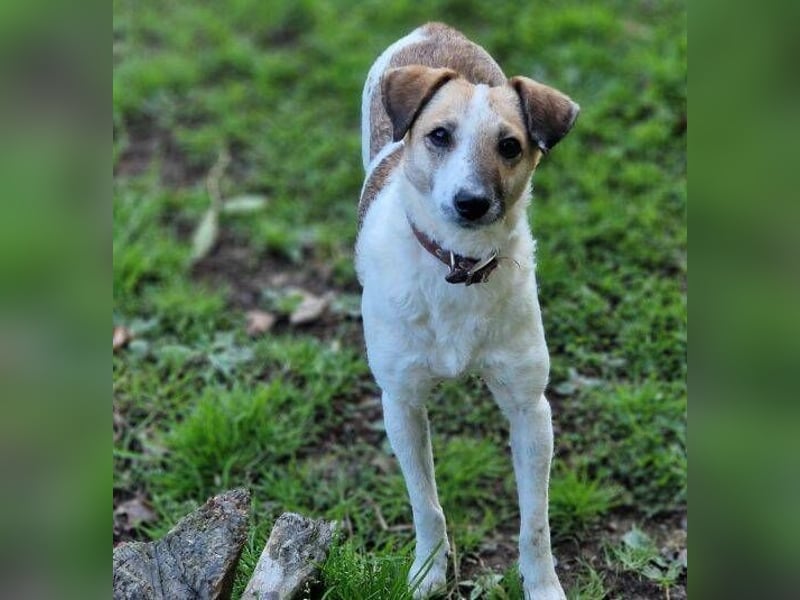 MIRKA liebt streicheln