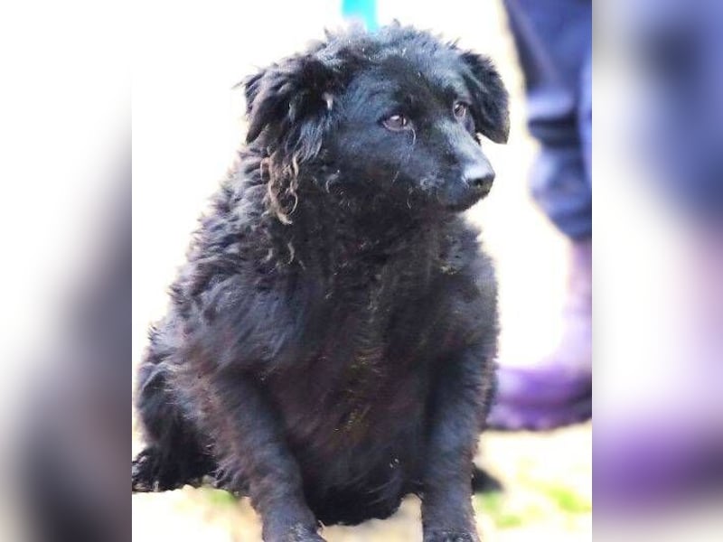 ZARA 2 zittert um ihr Leben