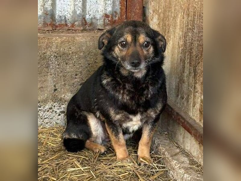 BERTHA ihr Leben soll sich zum Guten wenden