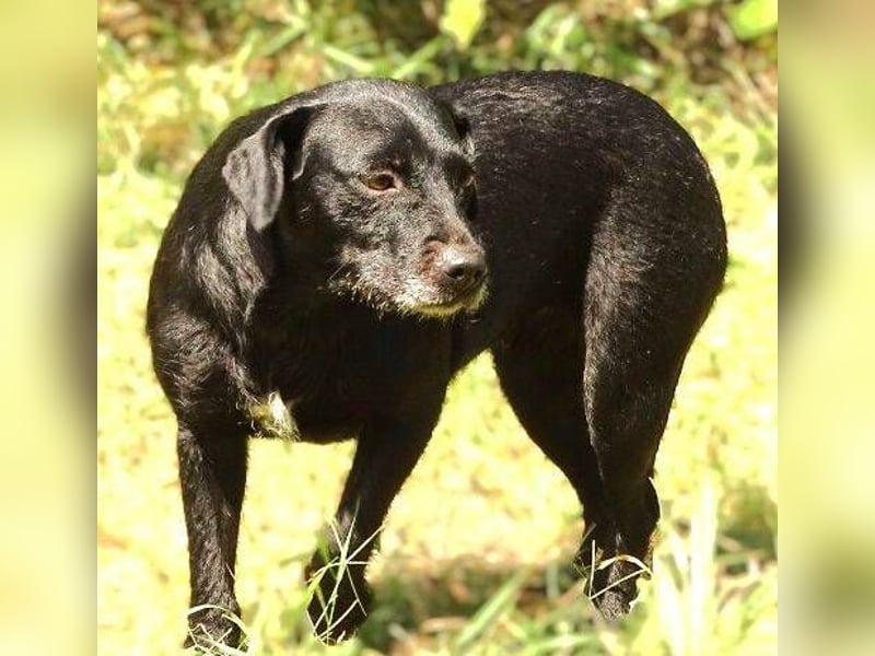 MONA ist ein Goldschatz