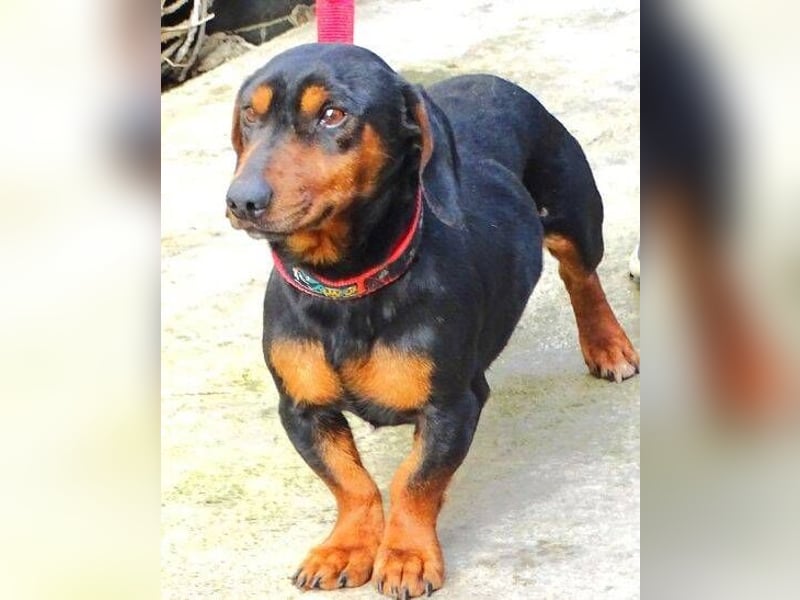 JACK braucht Lebensretter