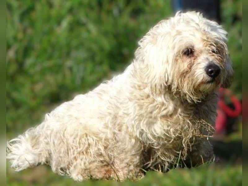 MIKE , wer hilft uns den kleinen zu retten?