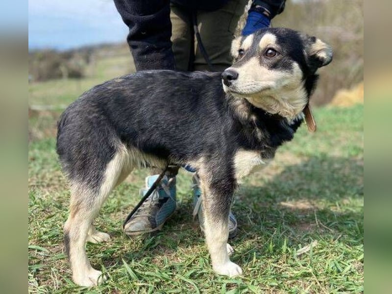 KEVIN wäre gerne dein Freund