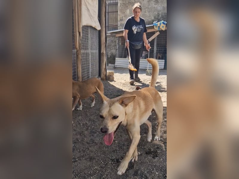 Aaron sucht sein Körbchen