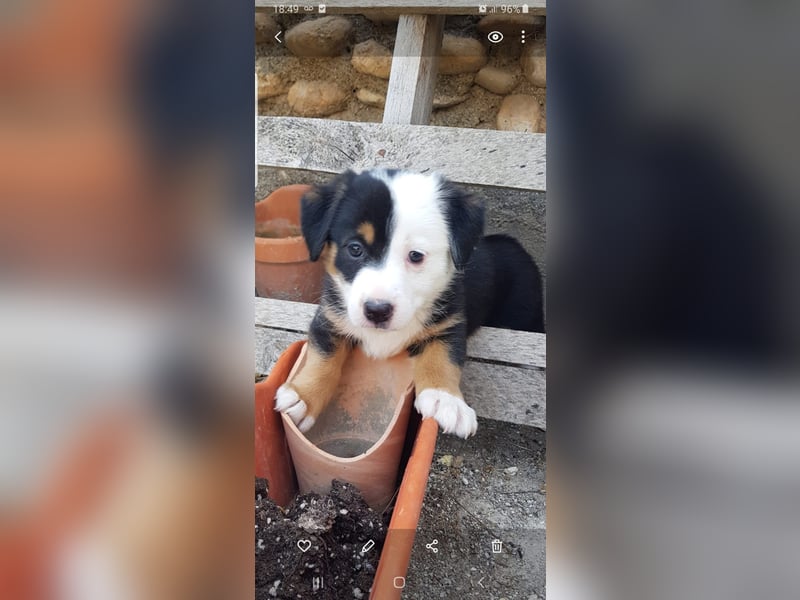 ROCKET möchte durchstarten