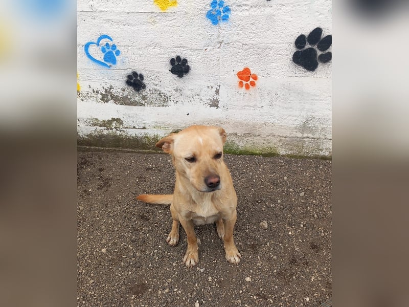 Aaron sucht sein Körbchen