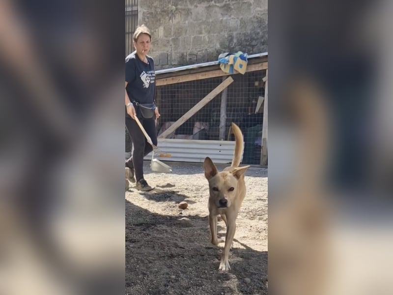 Aaron sucht sein Körbchen