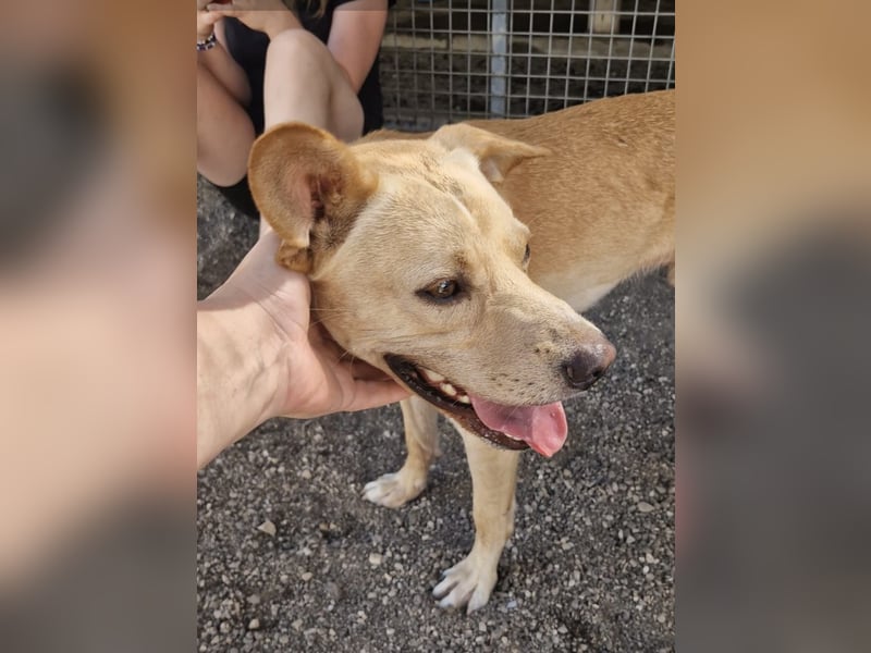 Aaron sucht sein Körbchen