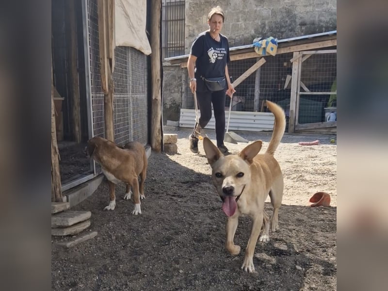 Aaron sucht sein Körbchen