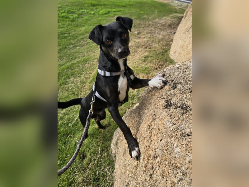 Nerino: ein Schatz für "überall mit dabei"