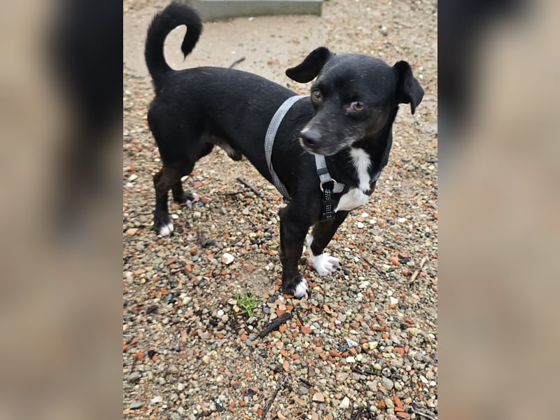 Nerino: ein Schatz für "überall mit dabei"