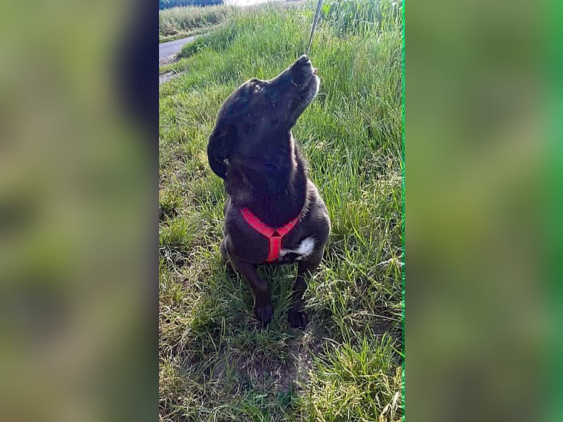 Die kleine Cassy sucht ihr Glück