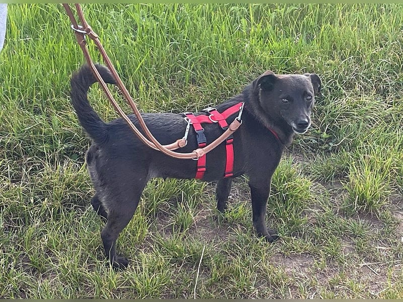 Die kleine Cassy sucht ihr Glück
