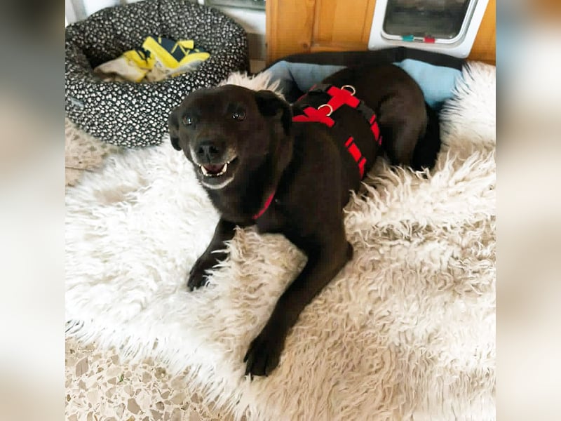 Die kleine Cassy sucht ihr Glück