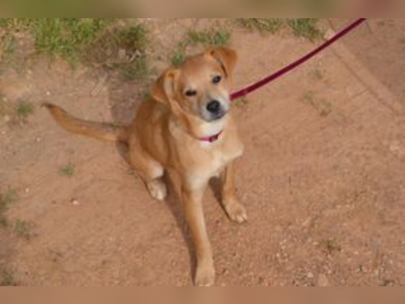 Rosinha, eine pfiffige und mutige kleine Entdeckerin