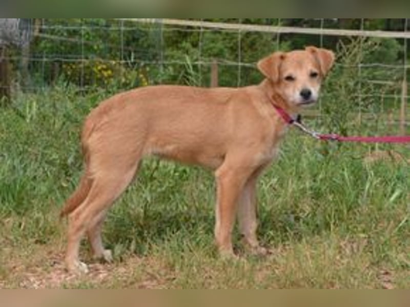 Rosinha, eine pfiffige und mutige kleine Entdeckerin