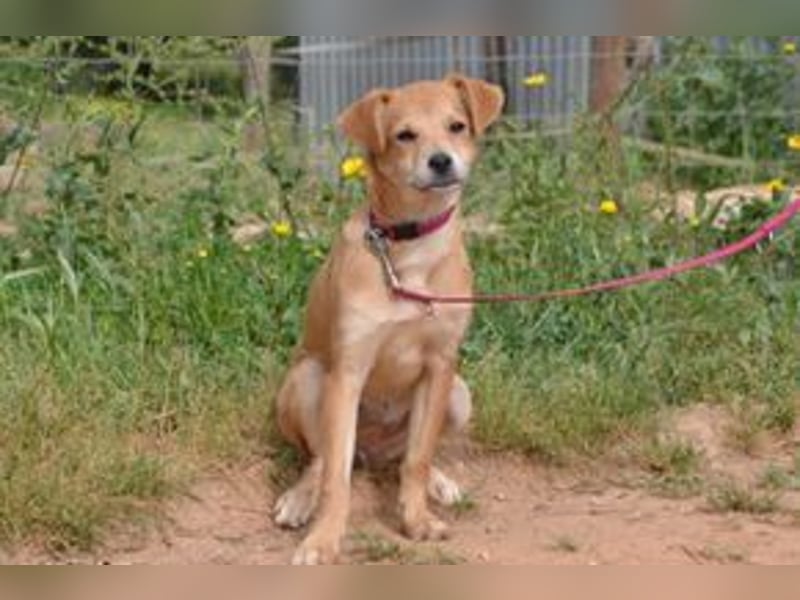 Rosinha, eine pfiffige und mutige kleine Entdeckerin