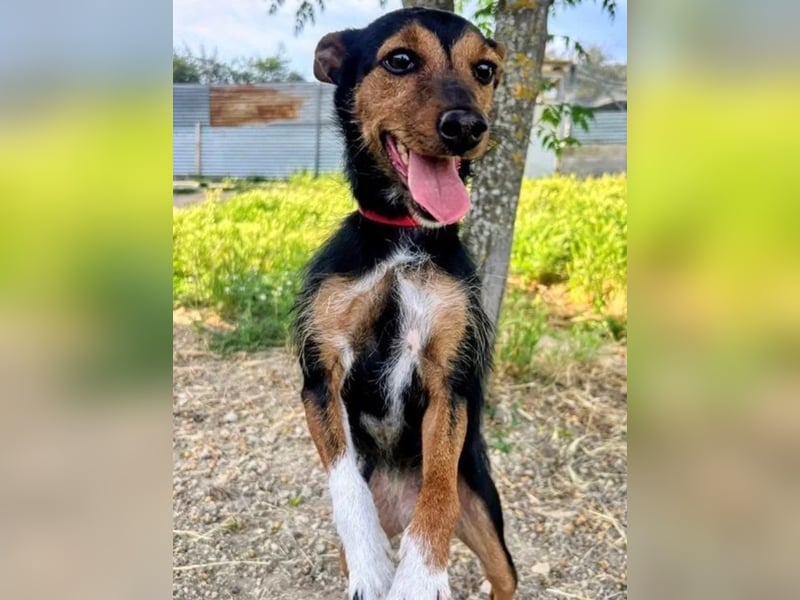 Heidi, sucht ihre passenden Menschen