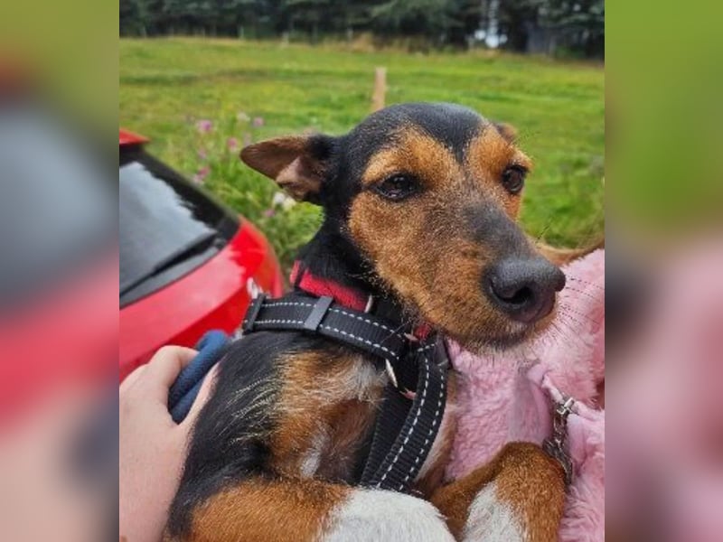 Heidi, sucht ihre passenden Menschen