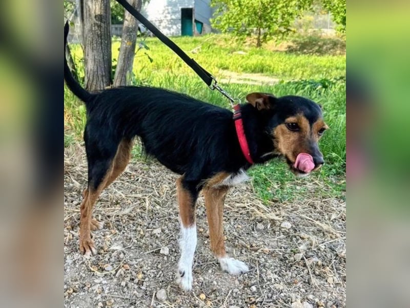 Heidi, sucht ihre passenden Menschen