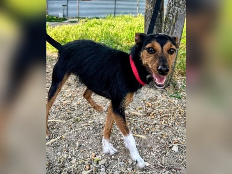 Heidi, sucht ihre passenden Menschen
