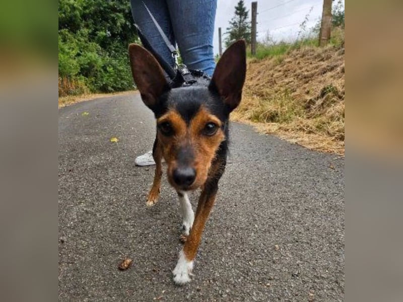 Heidi, sucht ihre passenden Menschen