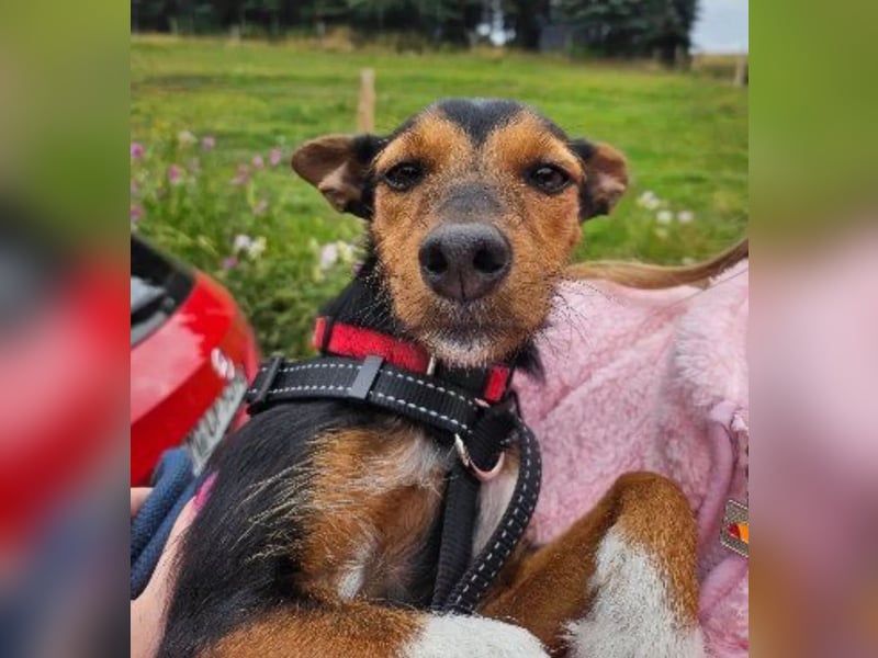 Heidi, sucht ihre passenden Menschen