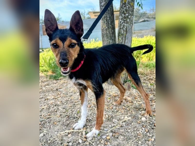 Heidi, sucht ihre passenden Menschen