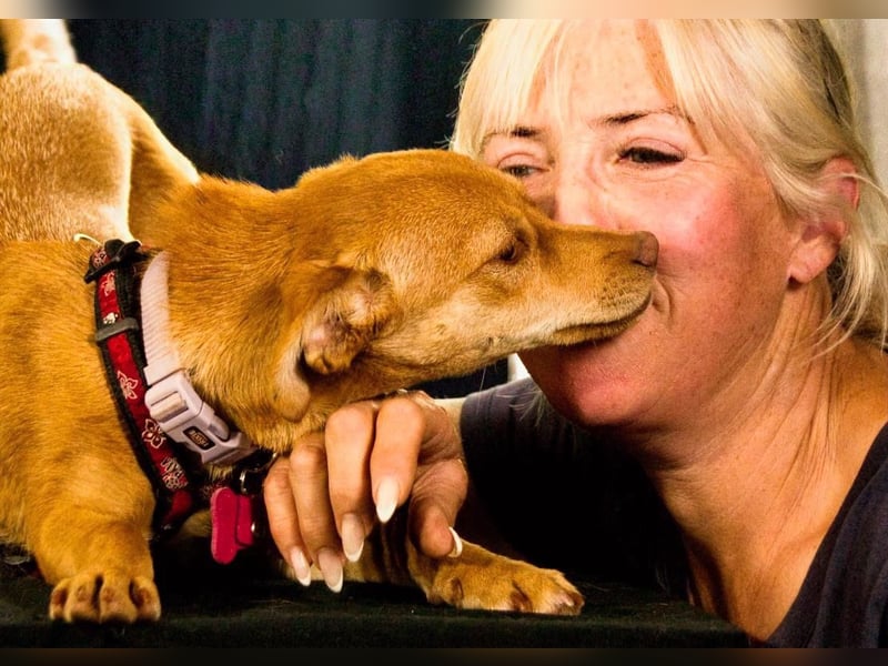 Shrimps - fröhlicher Sonnenschein