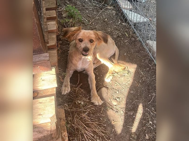Bobita - mit 13 Jahren soll sein Leben endlich beginnen