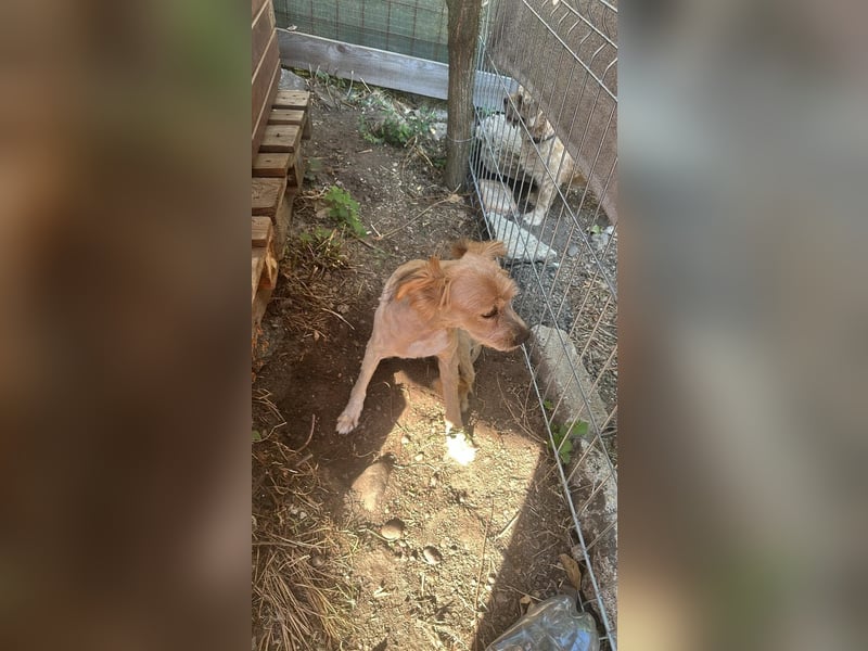 Bobita - mit 13 Jahren soll sein Leben endlich beginnen