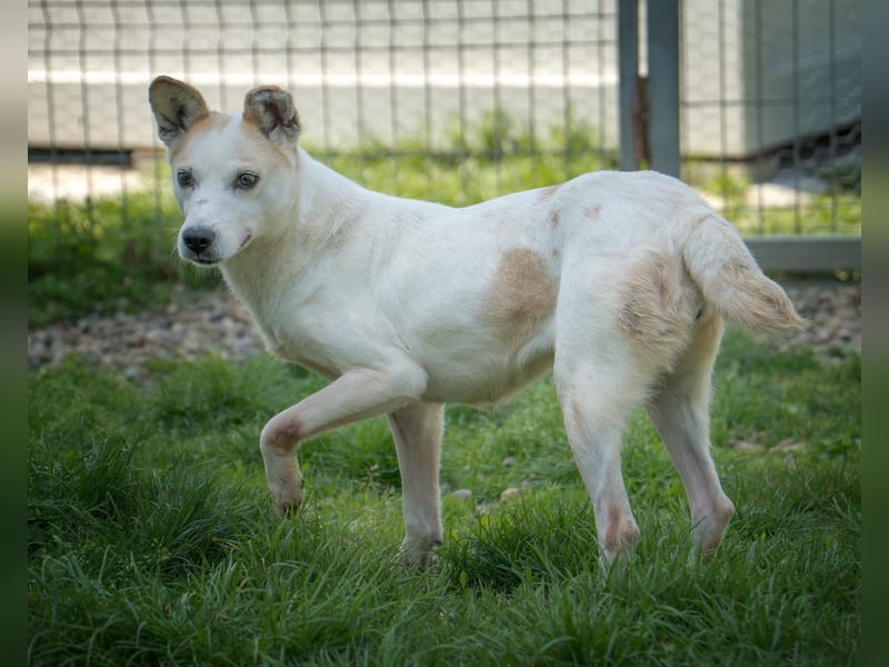 Anela - ihr Leben war die Hölle