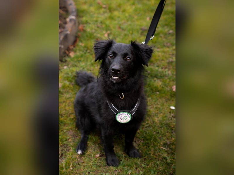 Leilani möchte ihr Herz verschenken...