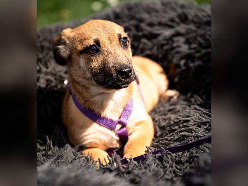 Wendy unsere kleine sensible...