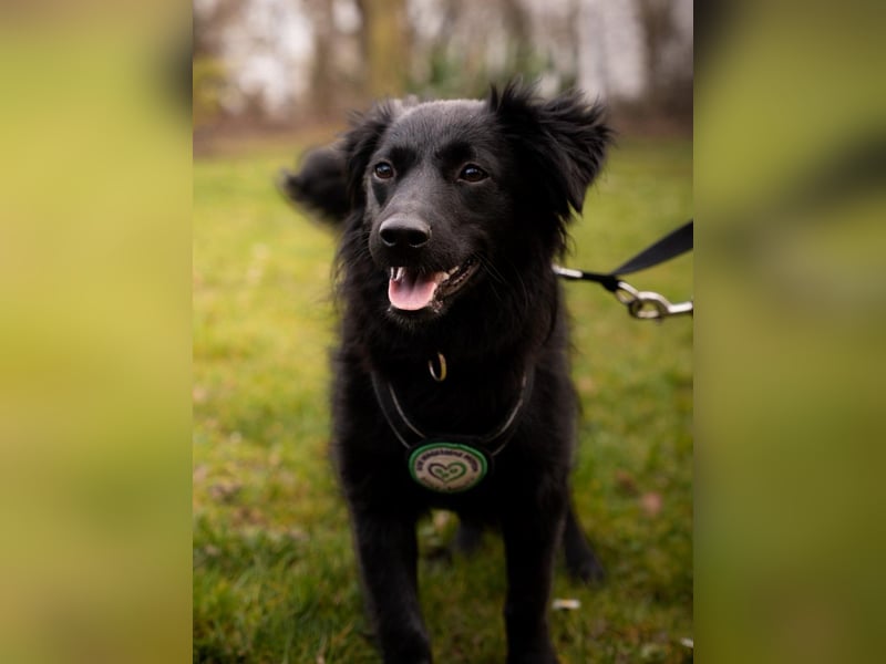 Leilani möchte ihr Herz verschenken...