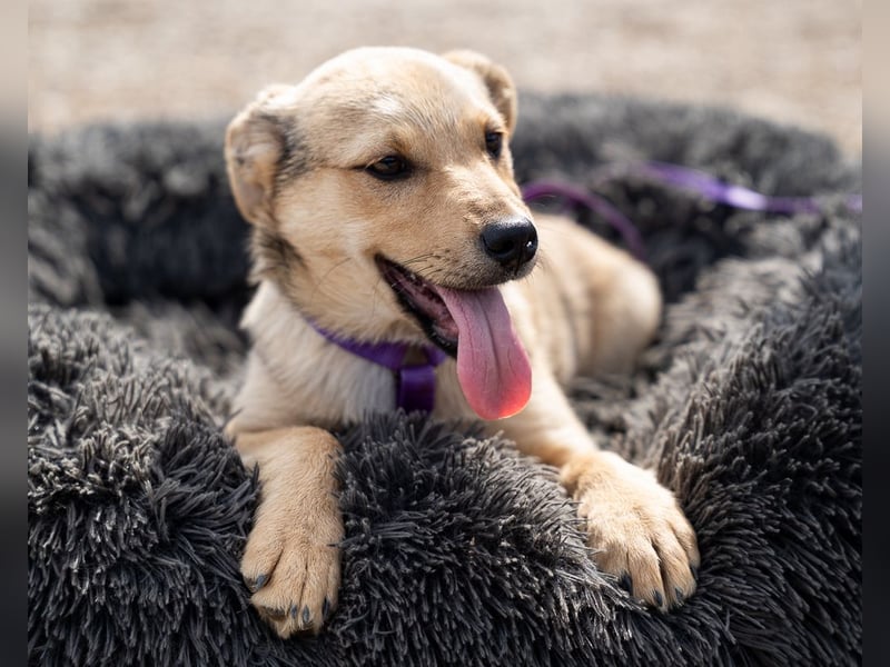 Wer schenkt Lisana ein zu Hause...