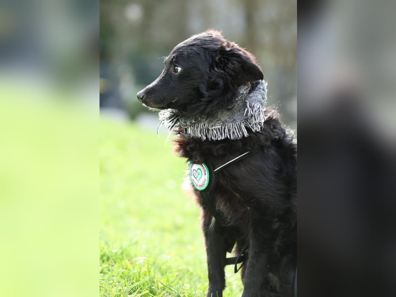 Ace such seine Herzensmenschen...