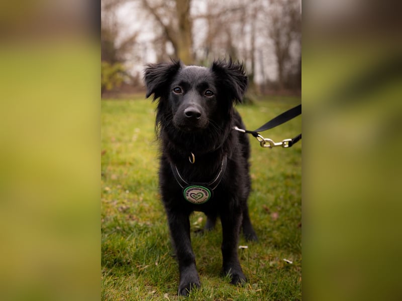 Leilani möchte ihr Herz verschenken...