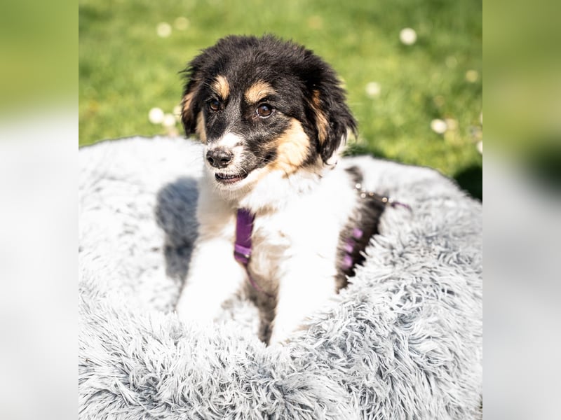 Lina unser kleiner Sonnenschein...