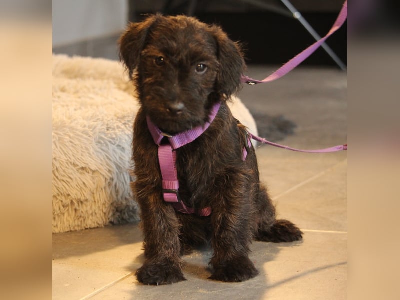 Manissa unsere kleine Schönheit ...