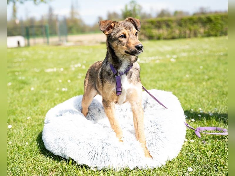 Darf ich vorstellen Prinzessin Leila