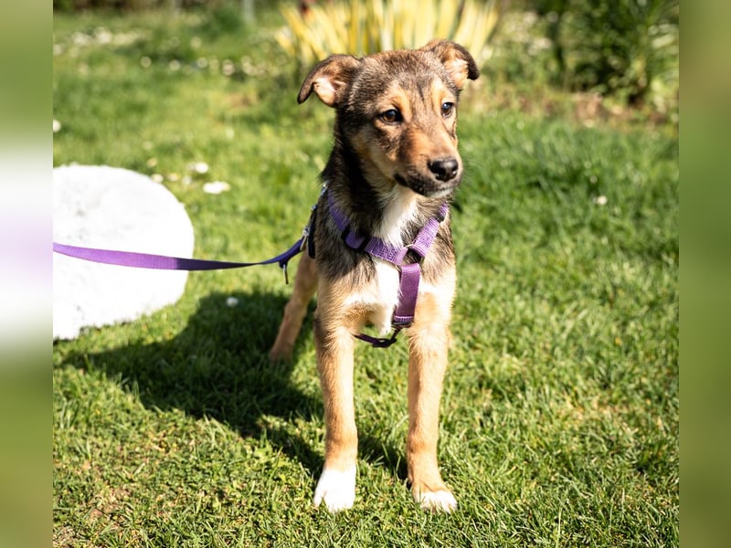 Darf ich vorstellen Prinzessin Leila