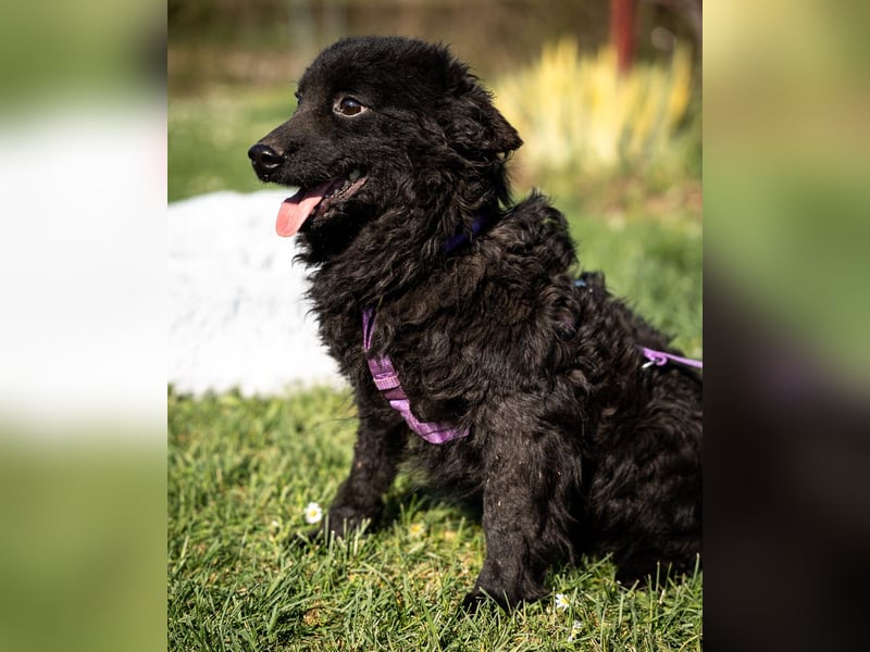 Yukina unsere kleine Schönheit ...