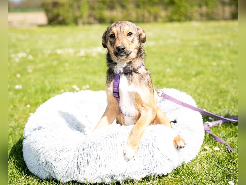 Darf ich vorstellen Prinzessin Leila