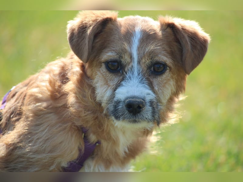 Ticina unsere kleine Prinzessin...