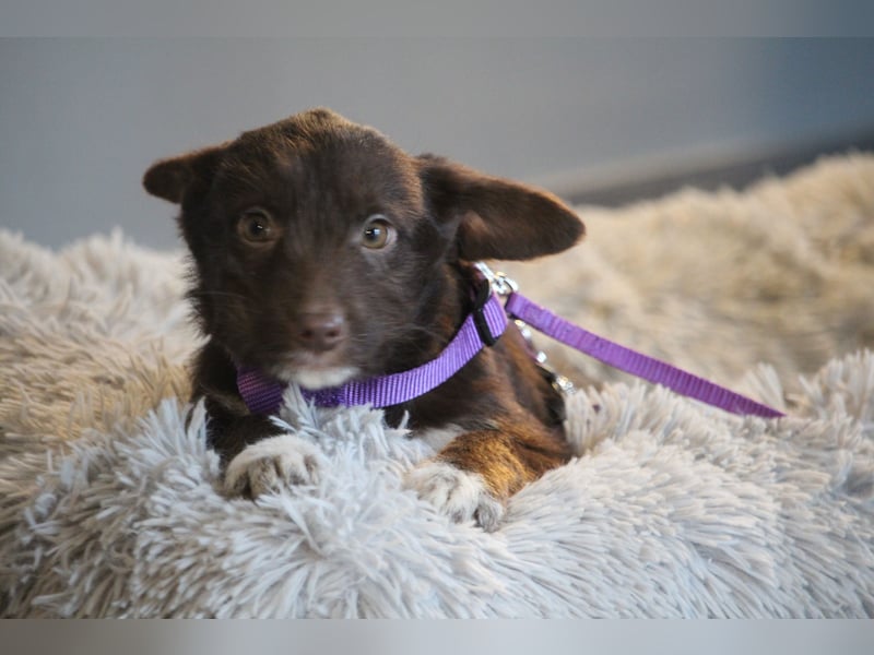 Benita unsere kleine Schönheit..