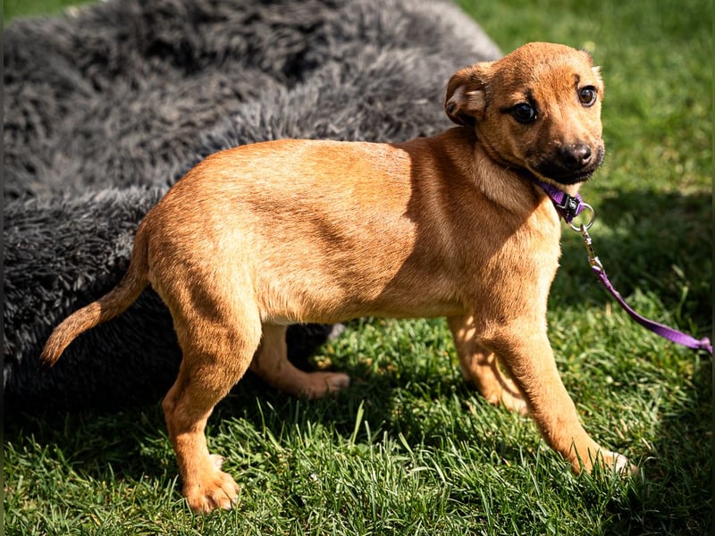 Talisa unsere kleine Schönheit ...