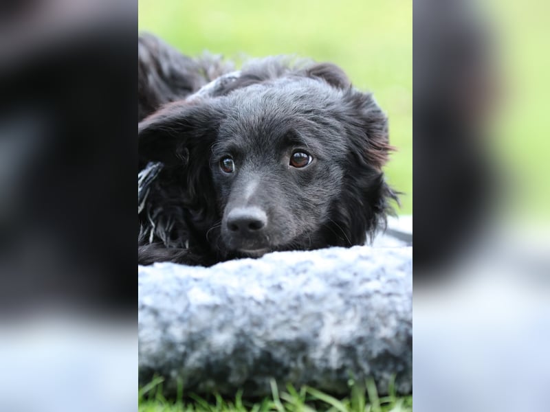 Ace such seine Herzensmenschen...