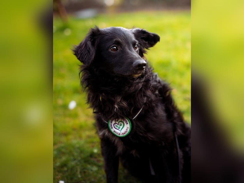 Ace such seine Herzensmenschen...